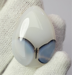 نمط فراشة نادر داخل حجر كريم من العقيق الشجري الطبيعي - أحجار كريمة مجمعة - 31.1 قيراط