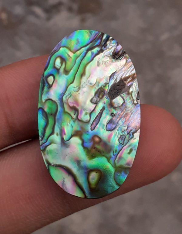 37.8ct Abalone Shell - Haliotis Iris, Paua Shells, Nacre, Mother-of-Pearl, Aulon, Sea ear - 33.8x20mm 37.8ct Abalone Shell - Haliotis Iris, Paua Shells, Nacre, Mother-of-Pearl, Aulon, Sea ear - 33.8x20mm