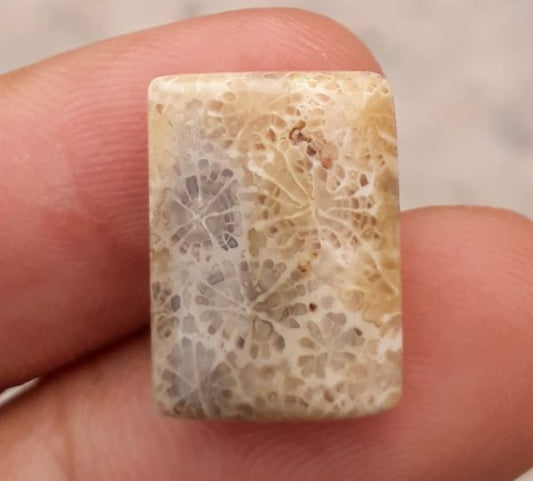 Natural Chrysanthemum Gemstone aka Agatized Coral- 15x18mm