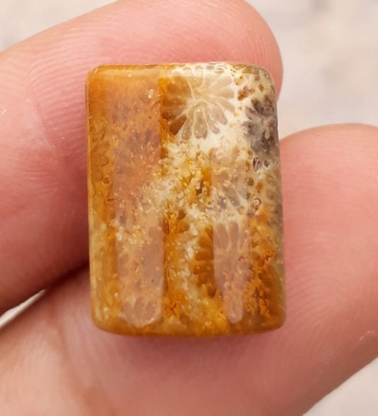 Natural Chrysanthemum Gemstone aka Agatized Coral - 13x18mm