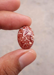 9.5 قيراط جاسبر - كابوشون يشب الدم - جاسبر أحمر - 19.7 × 14 ملم