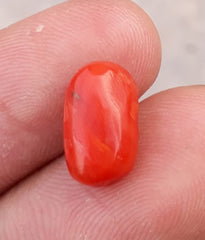 حجر مرجاني 3.8 قيراط - حجر مونجا - حجر مرجان - حجر باجادام - 12x7 ملم