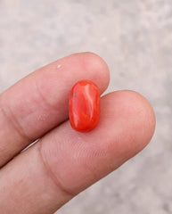 حجر مرجاني 3.8 قيراط - حجر مونجا - حجر مرجان - حجر باجادام - 12x7 ملم