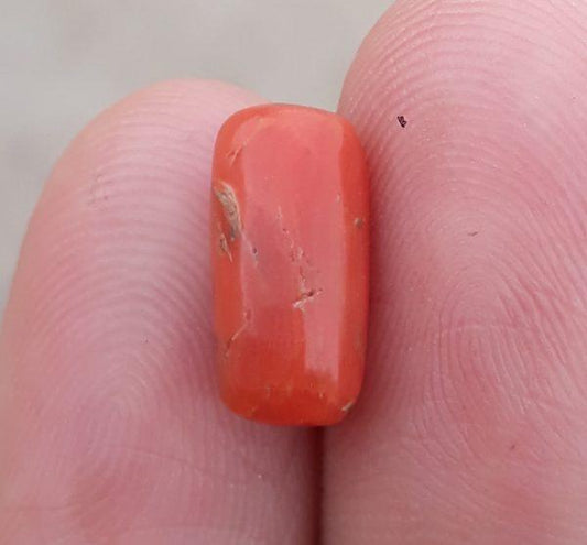 3.9ct Coral Stone - Moonga Stone - Marjan Stone - Pagadam Stone - 11x4mm