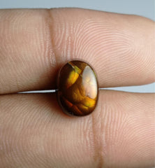 5.4ct Mexican Oval Fire Agate, Dimensions 12x9x6mm