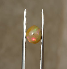 1.35 قيراط أوبال للبيع - أوبال ناري أبيض - أوبال ويلو - أوبال عسل - حجر بخت شهر أكتوبر - 8 × 7 ملم