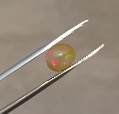 1.35 قيراط أوبال للبيع - أوبال ناري أبيض - أوبال ويلو - أوبال عسل - حجر بخت شهر أكتوبر - 8 × 7 ملم