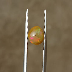 1.35 قيراط أوبال للبيع - أوبال ناري أبيض - أوبال ويلو - أوبال عسل - حجر بخت شهر أكتوبر - 8 × 7 ملم