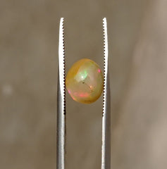 1.35 قيراط أوبال للبيع - أوبال ناري أبيض - أوبال ويلو - أوبال عسل - حجر بخت شهر أكتوبر - 8 × 7 ملم