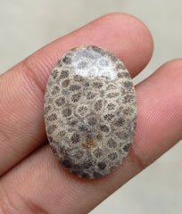 المرجان العقيق - المرجان المتحجر - الأحفور المرجاني كابوشون - 29x20x5mm