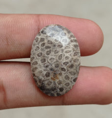المرجان العقيق - المرجان المتحجر - الأحفور المرجاني كابوشون - 29x20x5mm