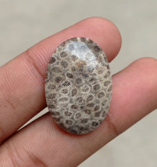 المرجان العقيق - المرجان المتحجر - الأحفور المرجاني كابوشون - 29x20x5mm