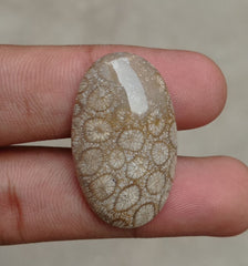 المرجان العقيق - المرجان المتحجر - الأحفور المرجاني كابوشون - 35x21x7mm