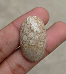 المرجان العقيق - المرجان المتحجر - الأحفور المرجاني كابوشون - 35x21x7mm