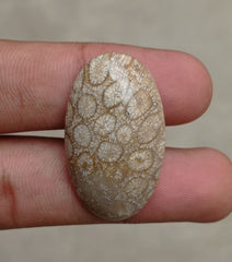 المرجان العقيق - المرجان المتحجر - الأحفور المرجاني كابوشون - 35x21x7mm