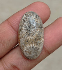 المرجان العقيق - المرجان المتحجر - الأحفور المرجاني كابوشون - 30x21x7mm