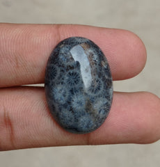 المرجان العقيق - المرجان المتحجر - الأحفور المرجاني كابوشون - 29x22x5mm