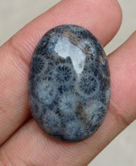 المرجان العقيق - المرجان المتحجر - الأحفور المرجاني كابوشون - 29x22x5mm