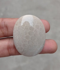 المرجان العقيق - المرجان المتحجر - الأحفوري المرجاني كابوشون - 43x33x6mm