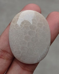 المرجان العقيق - المرجان المتحجر - الأحفوري المرجاني كابوشون - 43x33x6mm