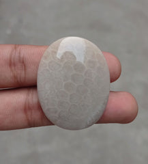 المرجان العقيق - المرجان المتحجر - الأحفوري المرجاني كابوشون - 43x33x6mm
