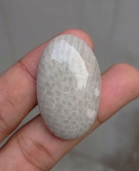 المرجان العقيق - المرجان المتحجر - الأحفور المرجاني كابوشون - 39x24x7mm