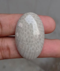 المرجان العقيق - المرجان المتحجر - الأحفور المرجاني كابوشون - 39x24x7mm