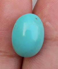 Natural Light Green Turquoise - Persian Qalmi Feroza - Green Feroza - 7.6ct- 14x10mm