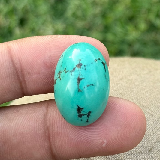 34.2ct Natural Green Turquoise - Feroza Stone