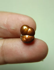 نحت جميل على حجر العقيق الناري - Agate De Feugo