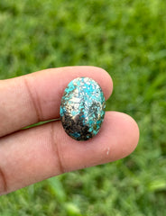 24.5ct Natural Turquoise - Feroza Stone