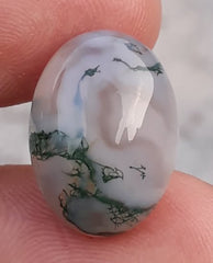 10.2 قيراط عقيق طحلب - عقيق طحلب أخضر - عقيق طحلب هندي - 13x18 ملم