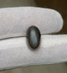 9.7ct Moonstone for Sale - Adularia Moonstone - Gray Moonstone - June Birthstone - 15x10x8mm