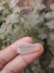 عقيق شجيري طبيعي 9.1 قيراط - عقيق خشبي - الأبعاد - 26.7 × 14 ملم