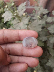 عقيق شجري طبيعي 15.7 قيراط - عقيق شجري - الأبعاد -21x15 ملم