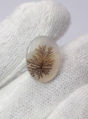 5.8ct Natural Dendritic Agate - Shajri Aqeeq - Dimension-17x13mm