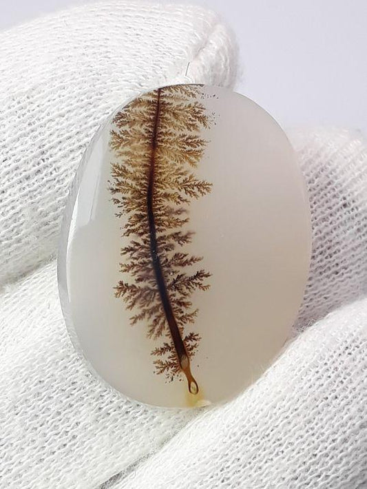 27.6ct Natural Dendritic Agate - Shajri Aqeeq- Dimension-29x23mm