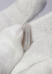 4.2ct Natural Dendritic Agate - Shajri Aqeeq - Dimension-18x9mm