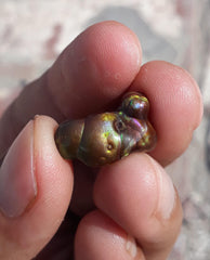 9.2ct Mexican Fire Agate, Rare Fire Agate, Polished fire agate - Perfect gemstone Gift, Dimensions 18 x 11 mm