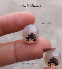 عقيق شجري طبيعي 8 قيراط - حجري عقيق