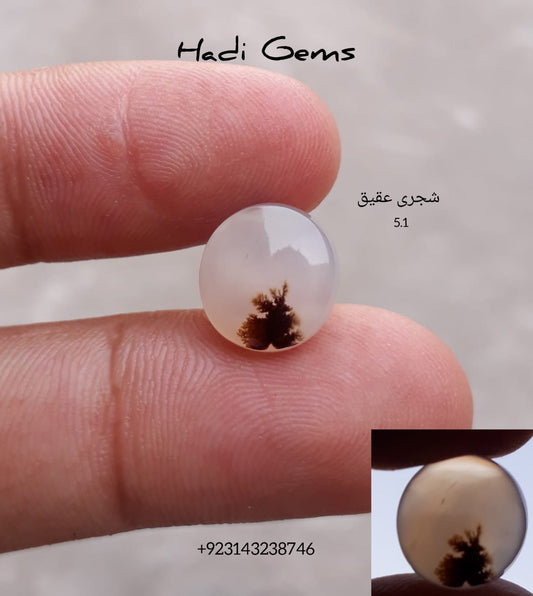 5.1ct Natural Dendritic Agate - Shajri Aqeeq
