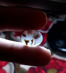 6.7ct Natural Dendritic Agate - Shajri Aqeeq -16x13mm