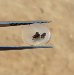 عقيق شجري طبيعي 4.9 قيراط - عقيق شجري - 16x12 ملم