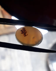 عقيق شجري طبيعي 8.6 قيراط - عقيق شجري - 15x11 ملم