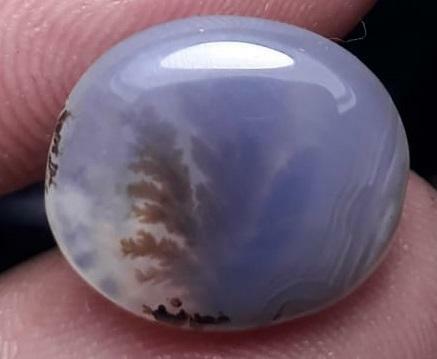 7.2ct Natural Dendritic Agate - Shajri Aqeeq -16x14mm