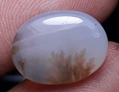 7.8ct Natural Dendritic Agate - Shajri Aqeeq -17x14mm