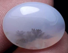 12.4ct Natural Dendritic Agate - Shajri Aqeeq -21x16mm