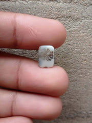 عقيق شجيري طبيعي 2.4 قيراط - عقيق خشبي - الأبعاد - 13 × 8 ملم