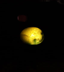 هيدرو غروسولار