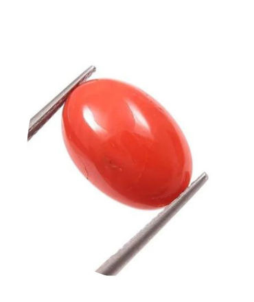 Red Coral